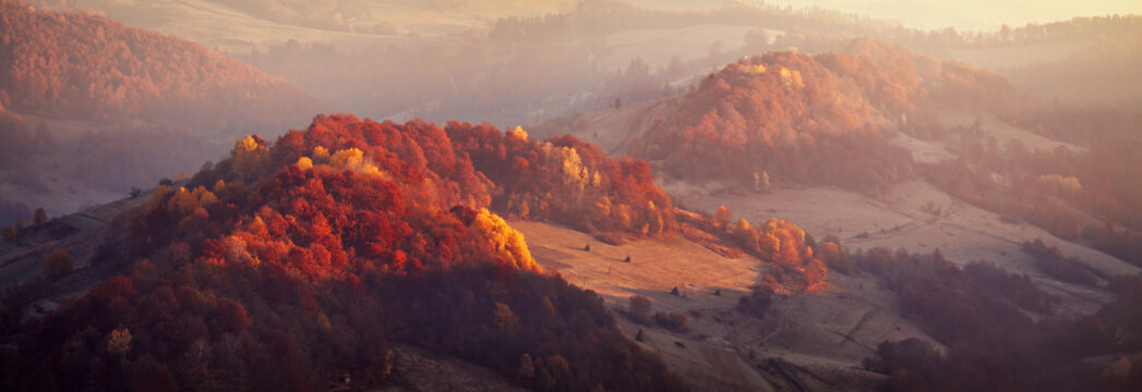 Mountain autumn panorama with colorful forest. Relict beech and hornbeam wood © NemanTraveler