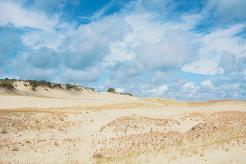 Sand dunes covered with dry grass at national park of Curonian Spit, Lithuania on summer cloudy day.