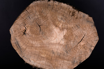 Tree rings old  wood texture with the cross section 