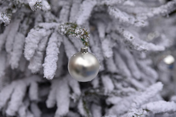 Boule de Noël argenté dans sapin enneigé