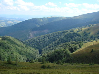 Landscape of the mountain forests of the Ukrainian Carpathians.