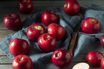 Red Organic Macintosh Apples