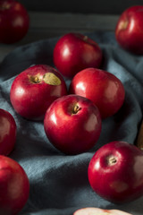 Red Organic Macintosh Apples