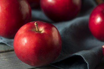 Red Organic Macintosh Apples