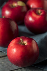 Fototapeta na wymiar Red Organic Macintosh Apples