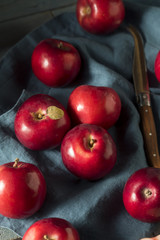 Red Organic Macintosh Apples