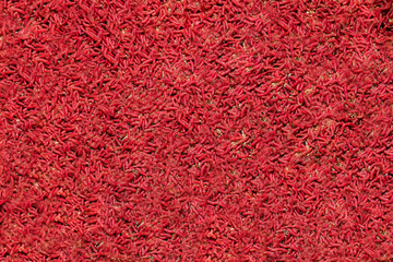 red maggot. large pile of worms.