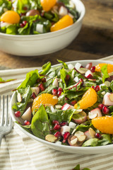 Raw Organic Winter Chard Salad with Oranges