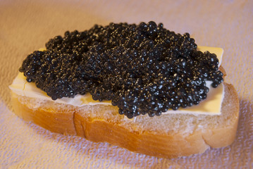 A sandwich made of bread, butter and black caviar. Russian delicacy.