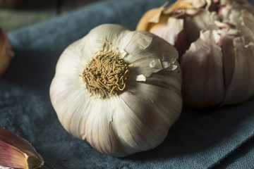 Raw Organic Gourmet Purple Garlic