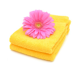 Obraz na płótnie Canvas yellow towels and pink daisy flower closeup on white