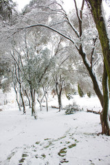 PUBLIC PARK COVERED BY SNOW IN ROME