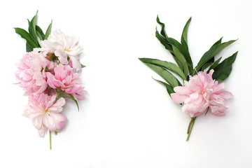 Beautiful composition in the form of a frame of pink peonies and leafage. Top view, flat lay