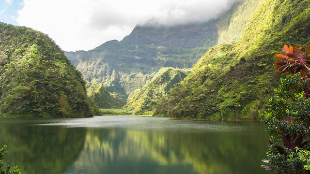 Tahiti in French Polynesia, Vaihiria lake in the Papenoo valley in the mountains, luxuriant bushy vegetation 
