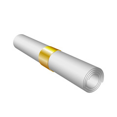 Vector of roll paper like diploma with gold ribbon, isolated on white, 3d Rolled Paper