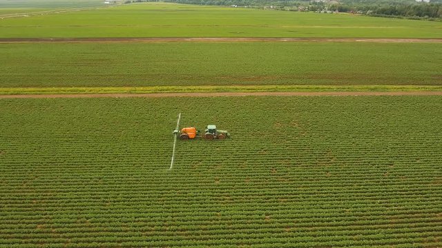 Aerial view tractor spraying the chemicals on the large green field. Spraying the herbicides on the farm land. Treatment of crops against weeds. 4K, aerial footage.
