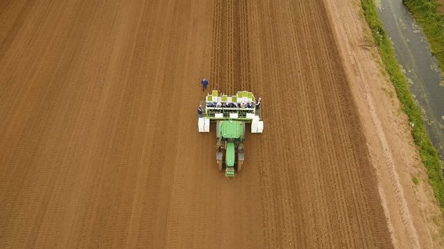 Aerial view Special tractor equipped with equipment for planting green vegetables and lettuce in the cultivated field. Tractor with workers sows, put salad on the field. 4K, aerial footage.