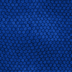 Abstract blue background. Vector image. simple texture