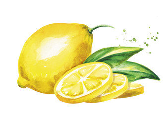 Lemon fruits composition. Watercolor hand drawn illustration