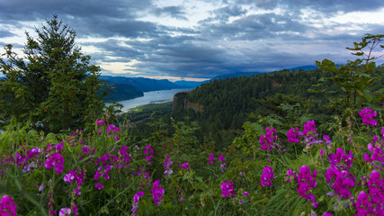 Columbia Gorge