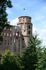Fototapeta na wymiar Heidelberger Schloss