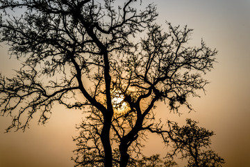 Puesta de sol, atardecer