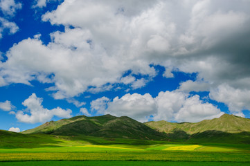 Fototapeta na wymiar Amazing landscape with mountains and yellow field flowers, Armenia