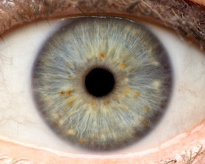 Macro photo of human eye, iris, pupil, eye lashes, eye lids.