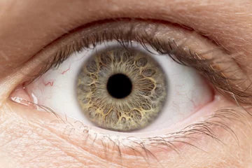 Foto op Aluminium Macrofoto van menselijk oog, iris, leerling, wimpers, oogleden. © bradleyblackburn