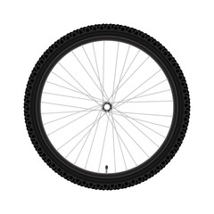 Vector Bicycle Wheel. Realistic Detailed Mountain Bike Wheel