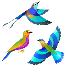 Stylized Birds - Racquet-tailed, Purple and Indian Roller