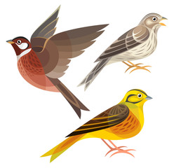 Stylized Birds - Pine Bunting in flight, Yellowhammer, Corn Bunting