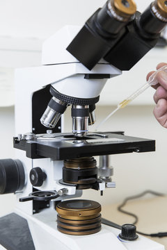 Hand holding pipette dropping a sample for a microscope
