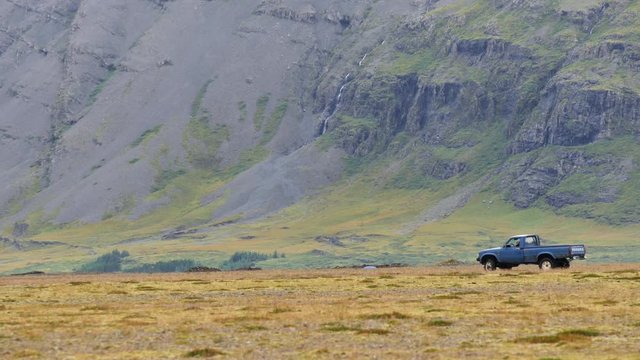 ICELAND Rettir sheep Schaf shepherd