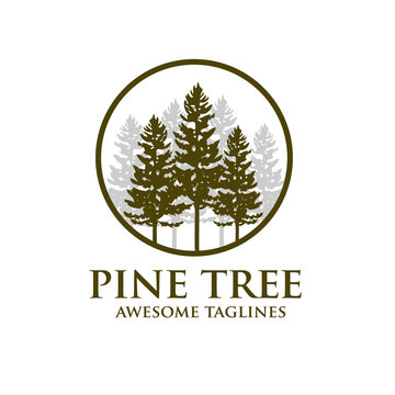 pine Tree outdoor travel green silhouette forest logo , natural pine tree badge abstract stem drawing vector illustration. creative pine tree silhouette  and circle logo vector