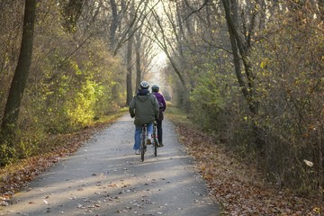 Obraz premium couple enjoying a peaceful ride in the woods on bicycles