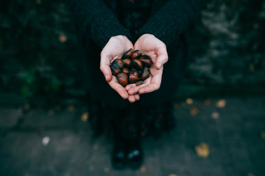 handful of chesnuts