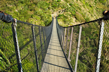 Paekakariki Escarpment Track, New Zealand