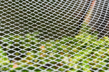 Garden Netting