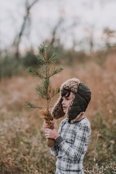 Pine tree