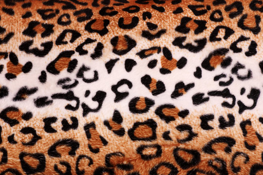texture of leopard tiger fur skin background