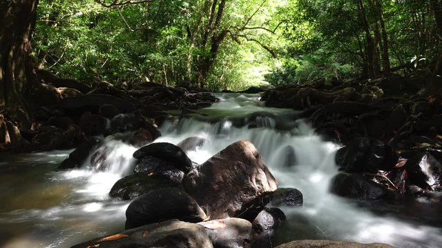 streamlet flowing time lapse shot