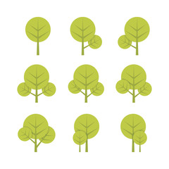 Set of flat tree vector