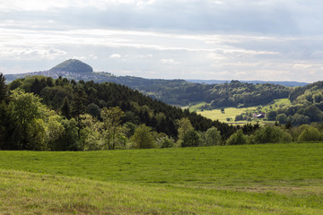 green landscape at springtime at south germany countryside
