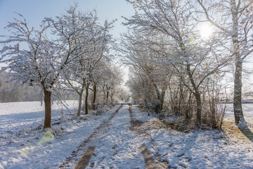 verschneite Winterlandschaft