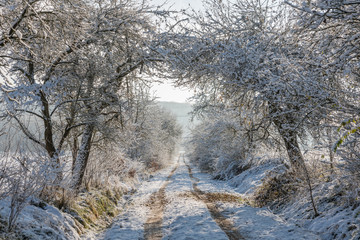 verschneite Winterlandschaft