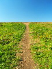 冬の土手の細道