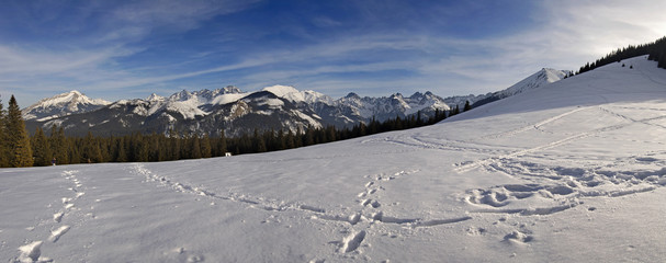 Panorama Rusinowa Polana Zima © Ola i Eryk