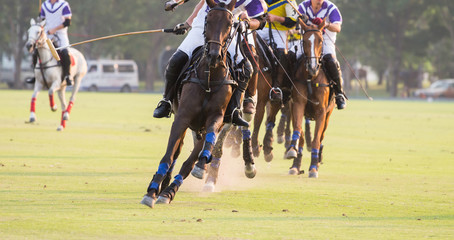 Horses Running In The Polo