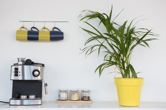 Coffeemaker, Pot Plant And Mugs Hanging On Hook